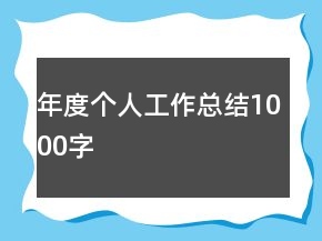 年度個(gè)人工作總結(jié)1000字
