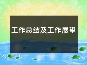 工作總結(jié)及工作展望