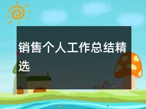銷(xiāo)售個(gè)人工作總結(jié)精選