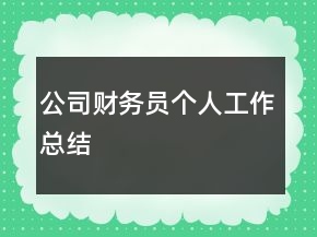 公司財務(wù)員個人工作總結(jié)
