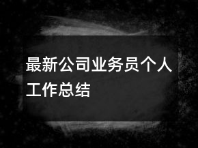 最新公司業(yè)務(wù)員個(gè)人工作總結(jié)