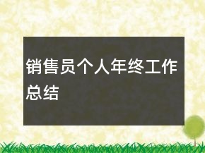 銷售員個人年終工作總結(jié)