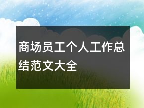 商場員工個人工作總結范文大全