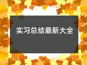 實習(xí)總結(jié)最新大全