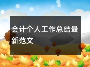 會(huì)計(jì)個(gè)人工作總結(jié)最新范文
