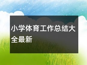 小學體育工作總結大全最新