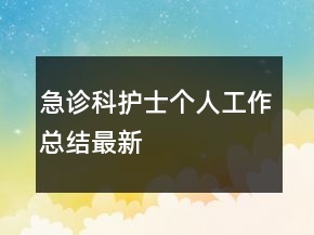急診科護士個人工作總結(jié)最新