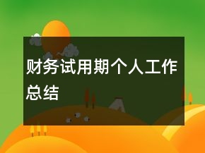 財務(wù)試用期個人工作總結(jié)