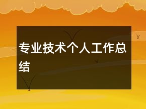 專業(yè)技術(shù)個人工作總結(jié)