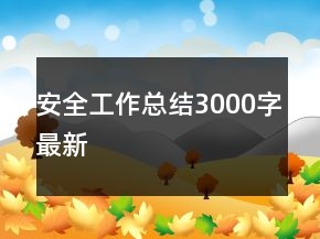 安全工作總結3000字最新
