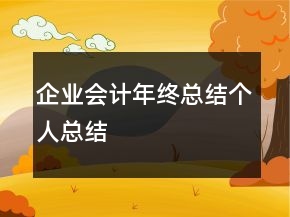 企業(yè)會計(jì)年終總結(jié)個人總結(jié)