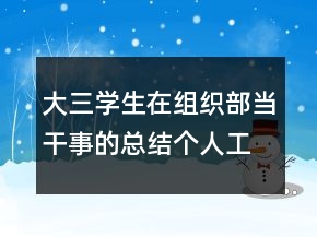大三學生在組織部當干事的總結(jié)個人工作報告