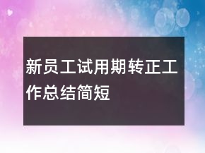 新員工試用期轉(zhuǎn)正工作總結(jié)簡(jiǎn)短