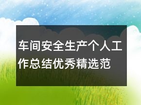 車(chē)間安全生產(chǎn)個(gè)人工作總結(jié)優(yōu)秀精選范文