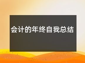 會計的年終自我總結(jié)