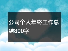 公司個(gè)人年終工作總結(jié)800字