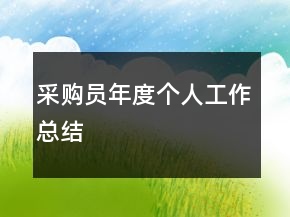 采購(gòu)員年度個(gè)人工作總結(jié)
