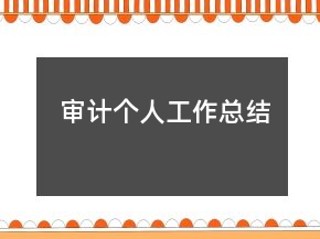 審計個人工作總結(jié)