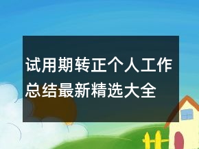 試用期轉(zhuǎn)正個人工作總結(jié)最新精選大全