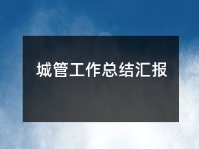 城管工作總結(jié)匯報