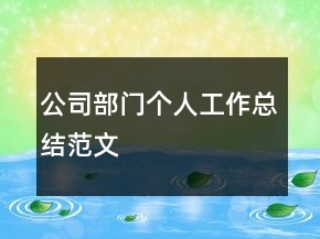 公司部門個人工作總結(jié)范文