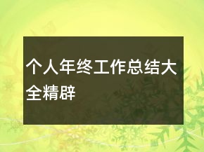 個人年終工作總結(jié)大全精辟