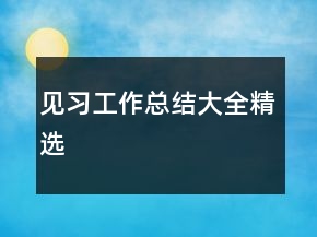 見習(xí)工作總結(jié)大全精選