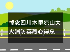 悼念四川木里涼山大火消防英烈心得總結(jié)范文
