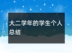 大二學年的學生個人總結