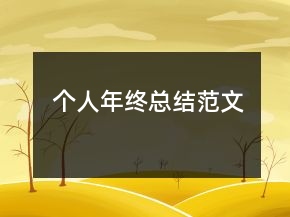 個人年終總結范文