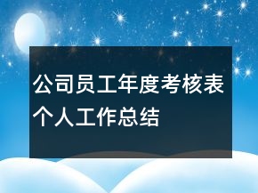 公司員工年度考核表個人工作總結(jié)