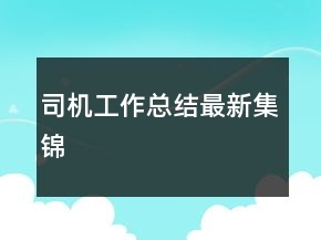 司機工作總結最新集錦
