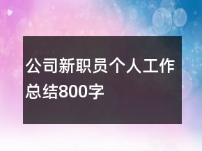 公司新職員個(gè)人工作總結(jié)800字