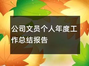 公司文員個(gè)人年度工作總結(jié)報(bào)告