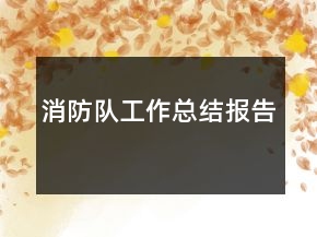 消防隊工作總結報告