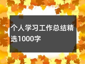 個人學習工作總結精選1000字