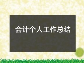 會計個人工作總結(jié)