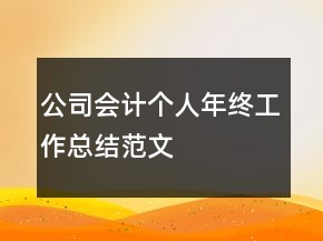 公司會計(jì)個(gè)人年終工作總結(jié)范文