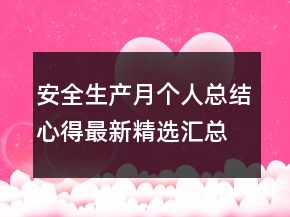 安全生產(chǎn)月個人總結(jié)心得最新精選匯總