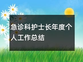 急診科護(hù)士長年度個人工作總結(jié)