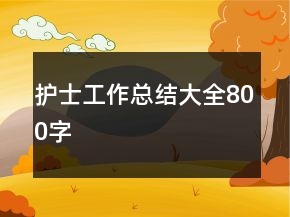 護(hù)士工作總結(jié)大全800字