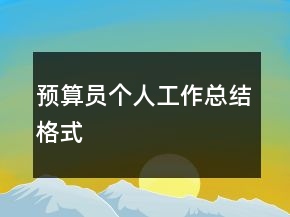 預(yù)算員個(gè)人工作總結(jié)格式
