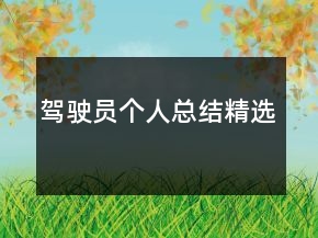 駕駛員個人總結(jié)精選