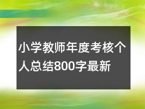小學教師年度考核個人總結800字最新