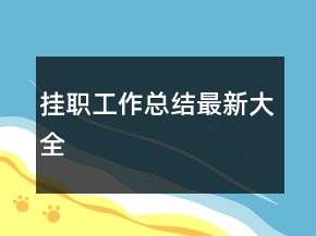 掛職工作總結最新大全