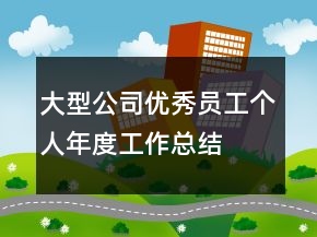 大型公司優(yōu)秀員工個人年度工作總結