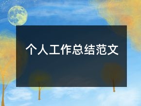 個人工作總結(jié)范文