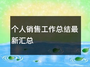 個人銷售工作總結(jié)最新匯總