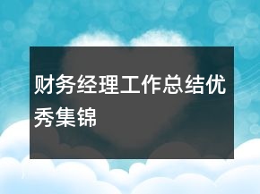 財(cái)務(wù)經(jīng)理工作總結(jié)優(yōu)秀集錦