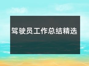駕駛員工作總結精選